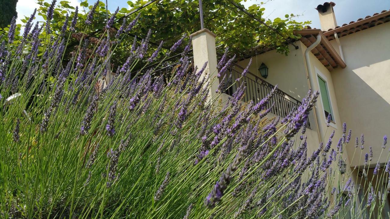 Chambre D'Hotes La Bigarade Golfe-Juan Exterior foto